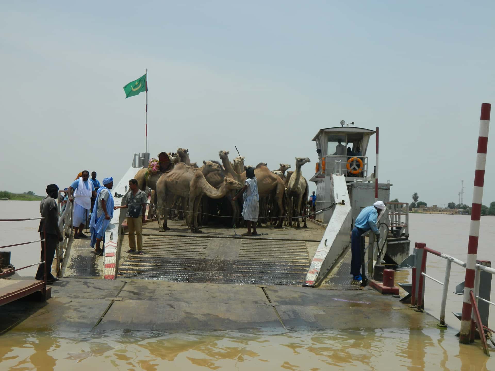 صورة المقال