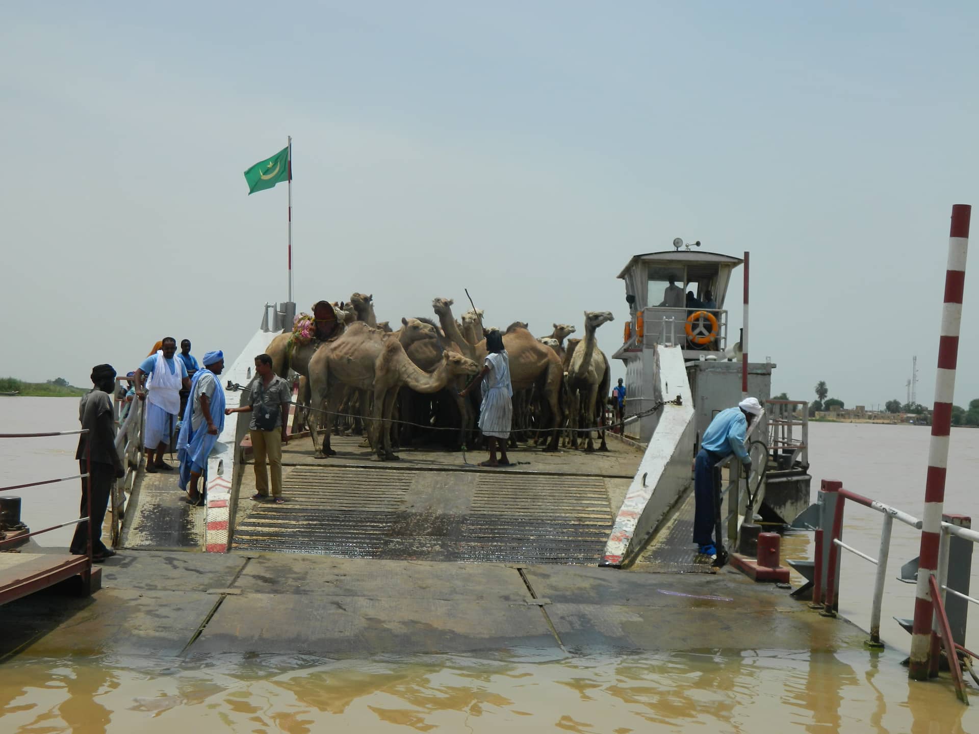 الصورة الرئيسية للمقال