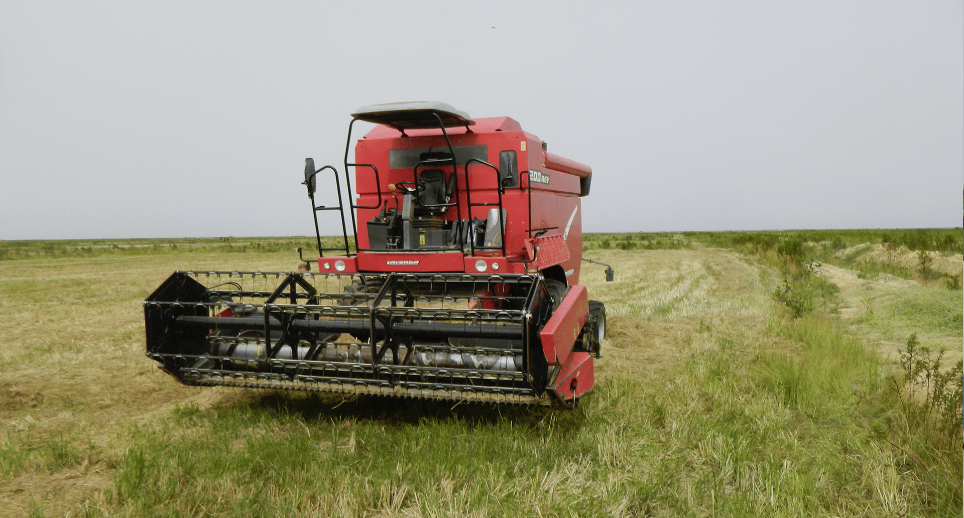 صورة المقال