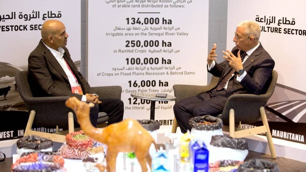 الصورة الرئيسية للمقال