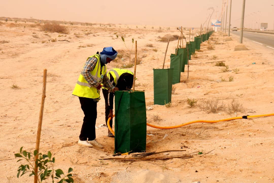 الصورة الرئيسية للمقال