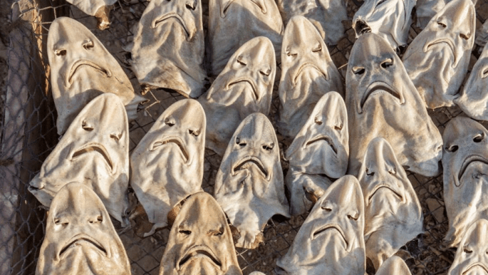 الصورة الرئيسية للمقال