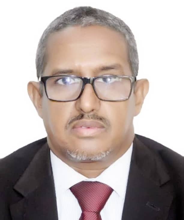 الصورة الرئيسية للمقال