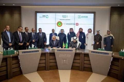 الصورة الرئيسية للمقال