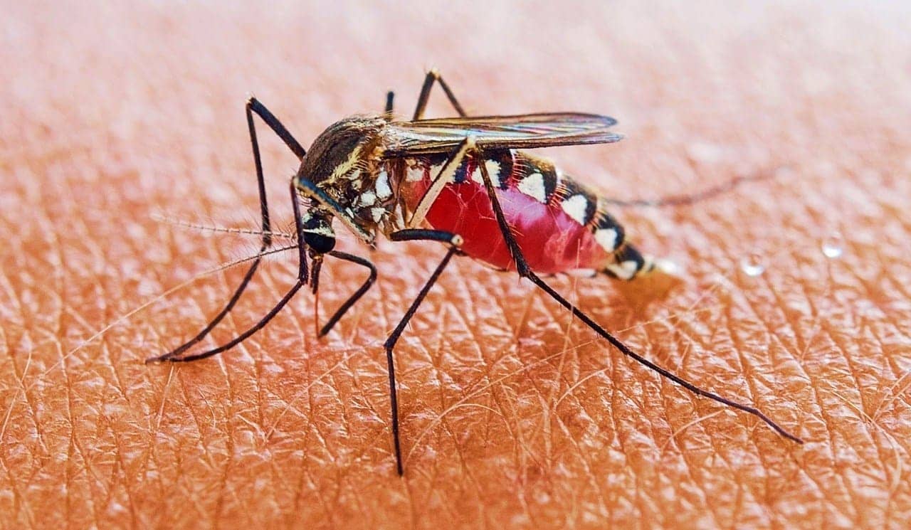 الصورة الرئيسية للمقال