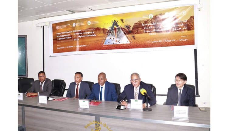 الصورة الرئيسية للمقال