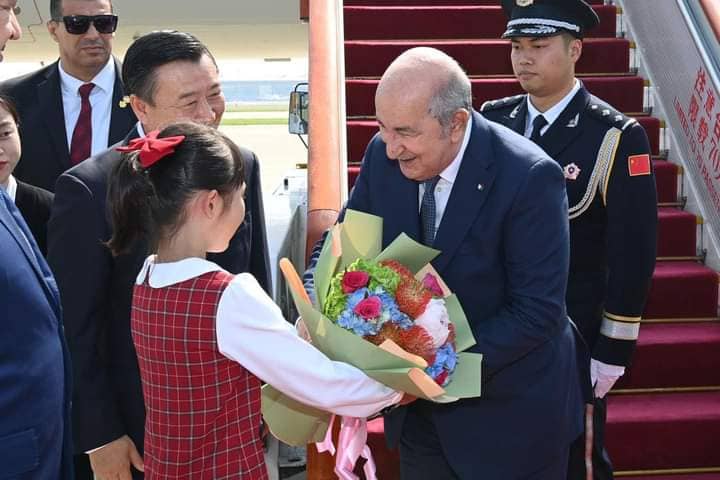 الصورة الرئيسية للمقال