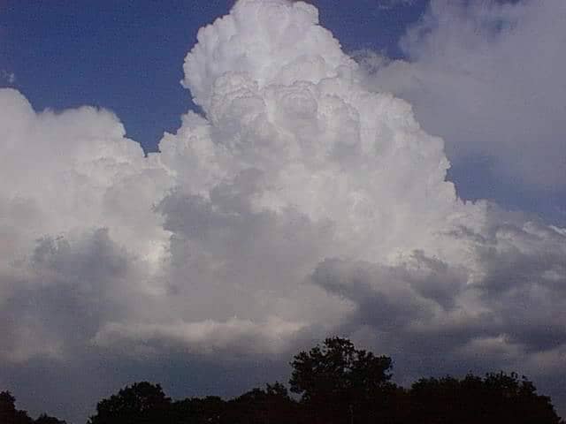 الصورة الرئيسية للمقال