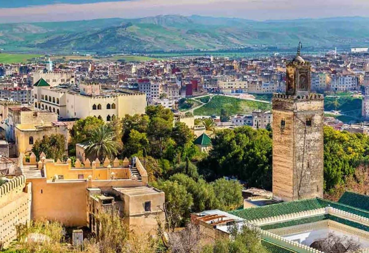 الصورة الرئيسية للمقال