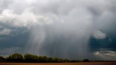 الصورة الرئيسية للمقال