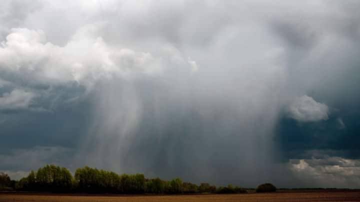 الصورة الرئيسية للمقال