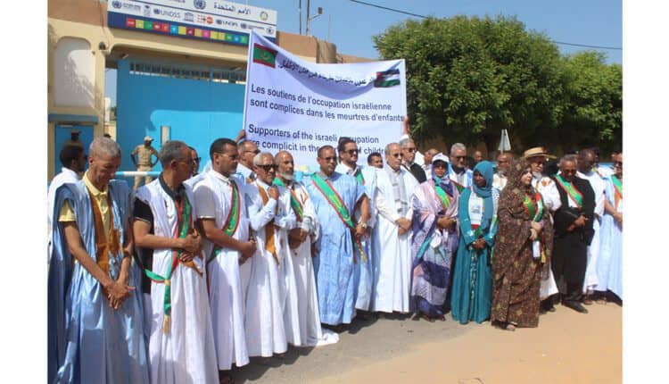 الصورة الرئيسية للمقال