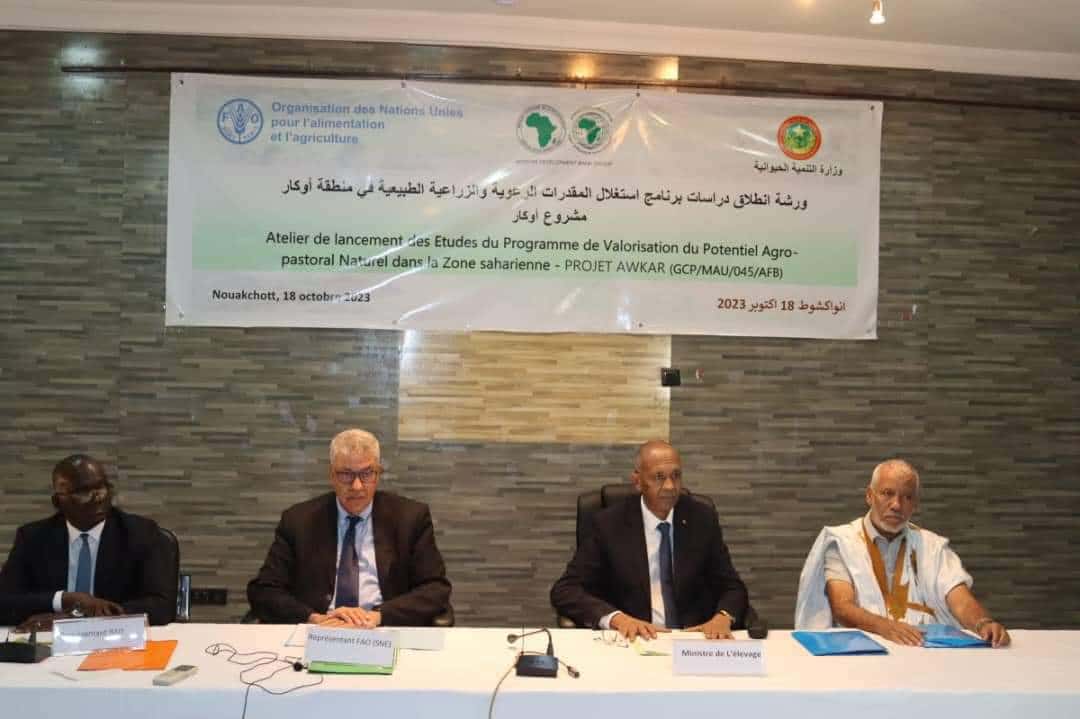 صورة المقال