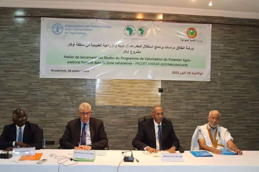 الصورة الرئيسية للمقال