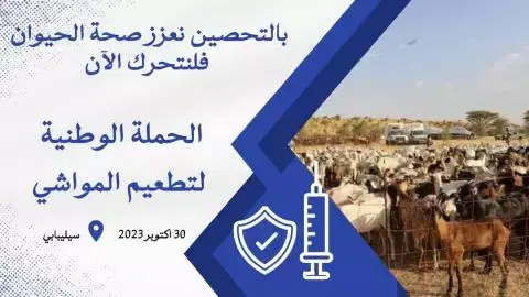 الصورة الرئيسية للمقال