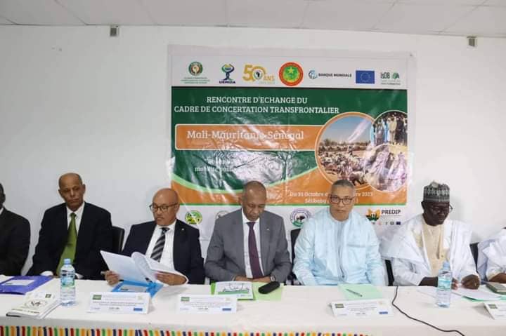 الصورة الرئيسية للمقال