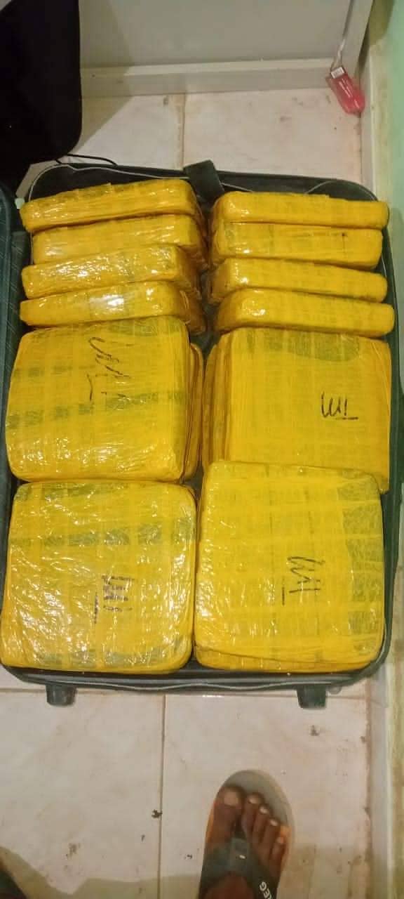 الصورة الرئيسية للمقال