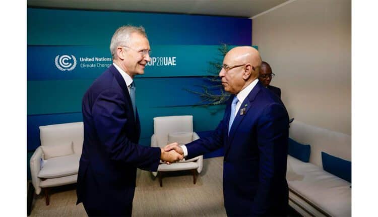 الصورة الرئيسية للمقال