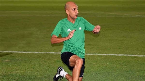 الصورة الرئيسية للمقال