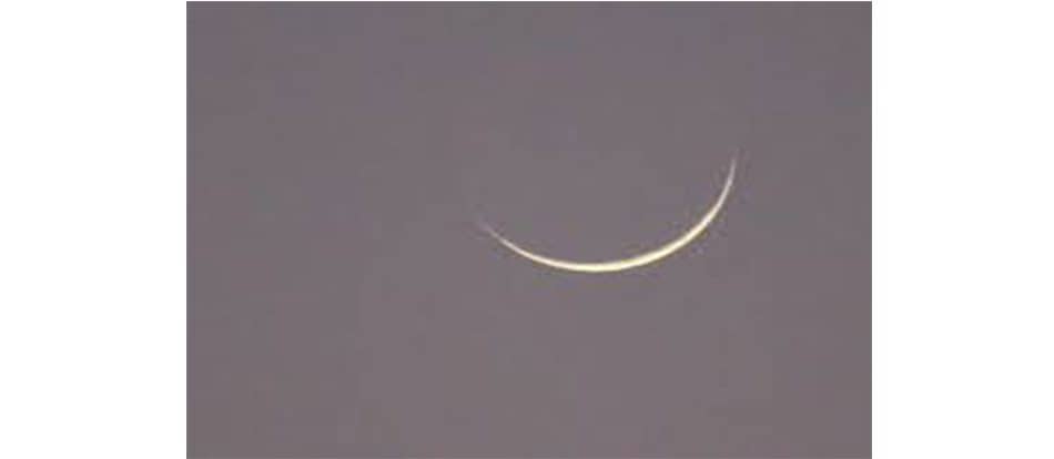 الصورة الرئيسية للمقال