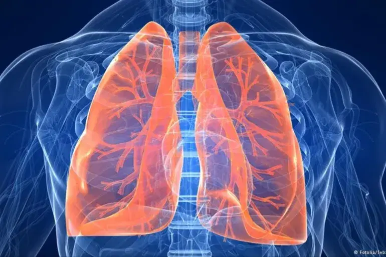 الصورة الرئيسية للمقال