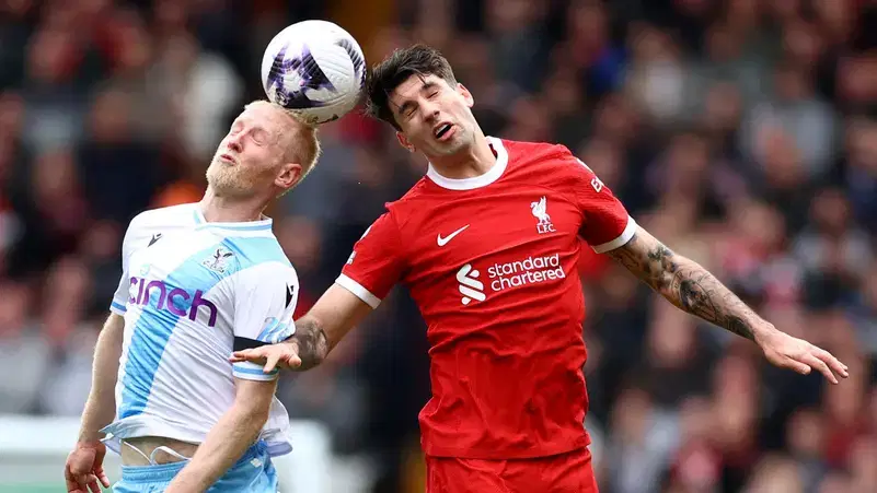 الصورة الرئيسية للمقال