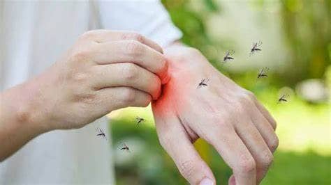 الصورة الرئيسية للمقال