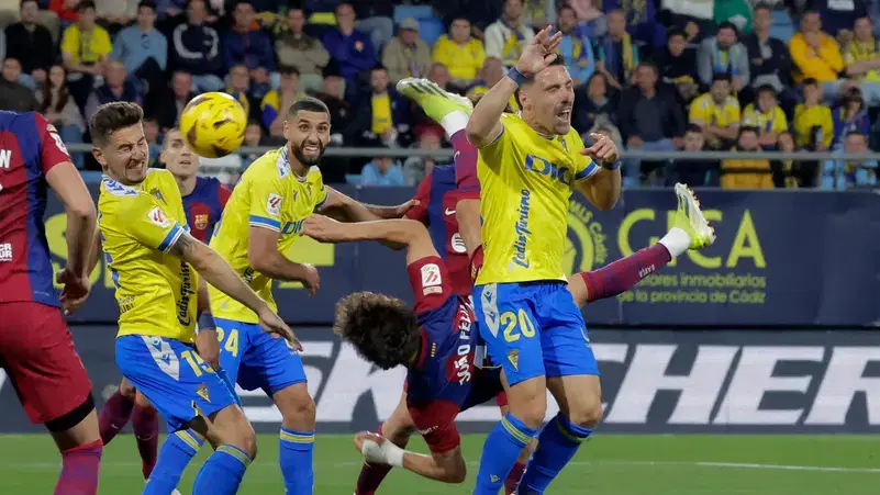 الصورة الرئيسية للمقال