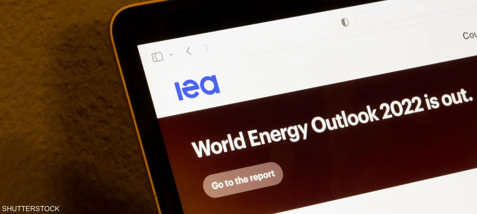 الصورة الرئيسية للمقال