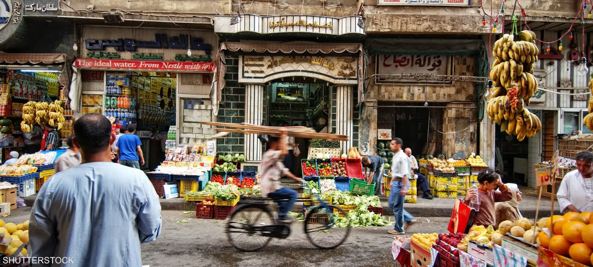 الصورة الرئيسية للمقال