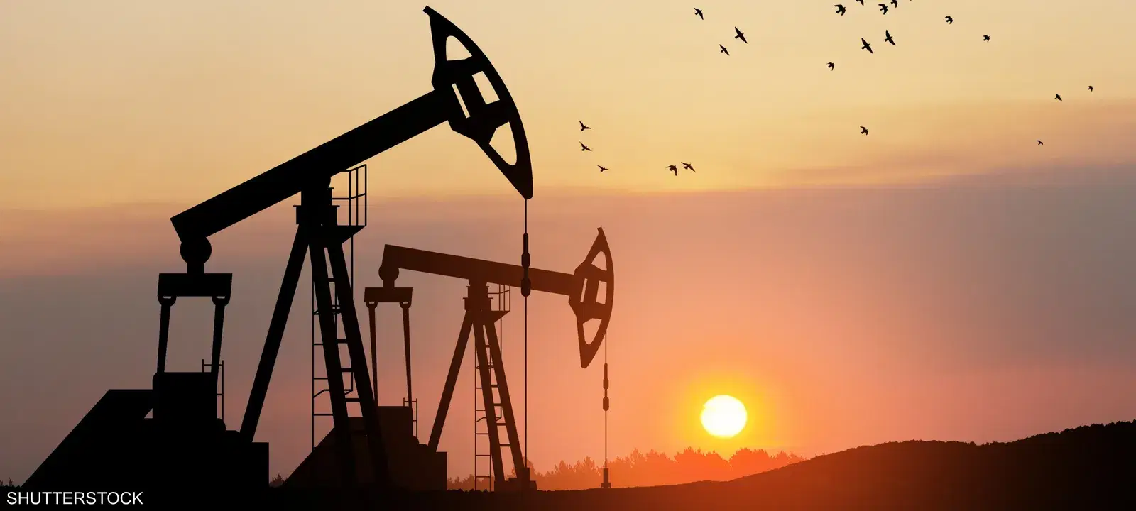 الصورة الرئيسية للمقال