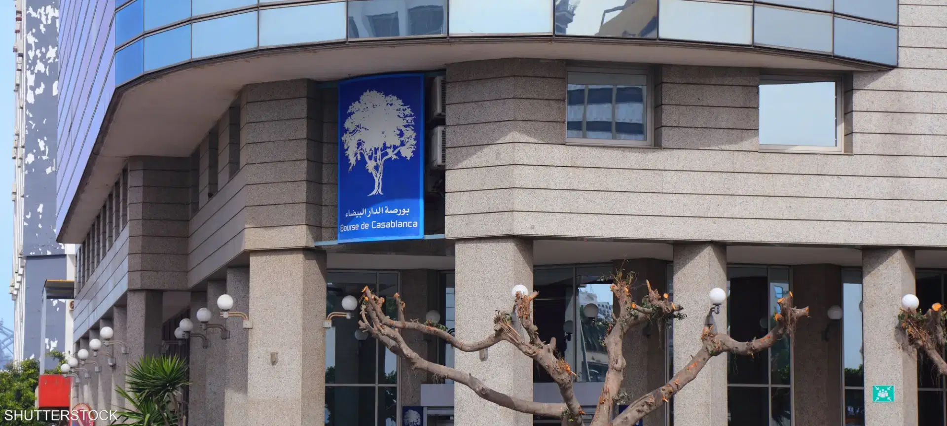 الصورة الرئيسية للمقال