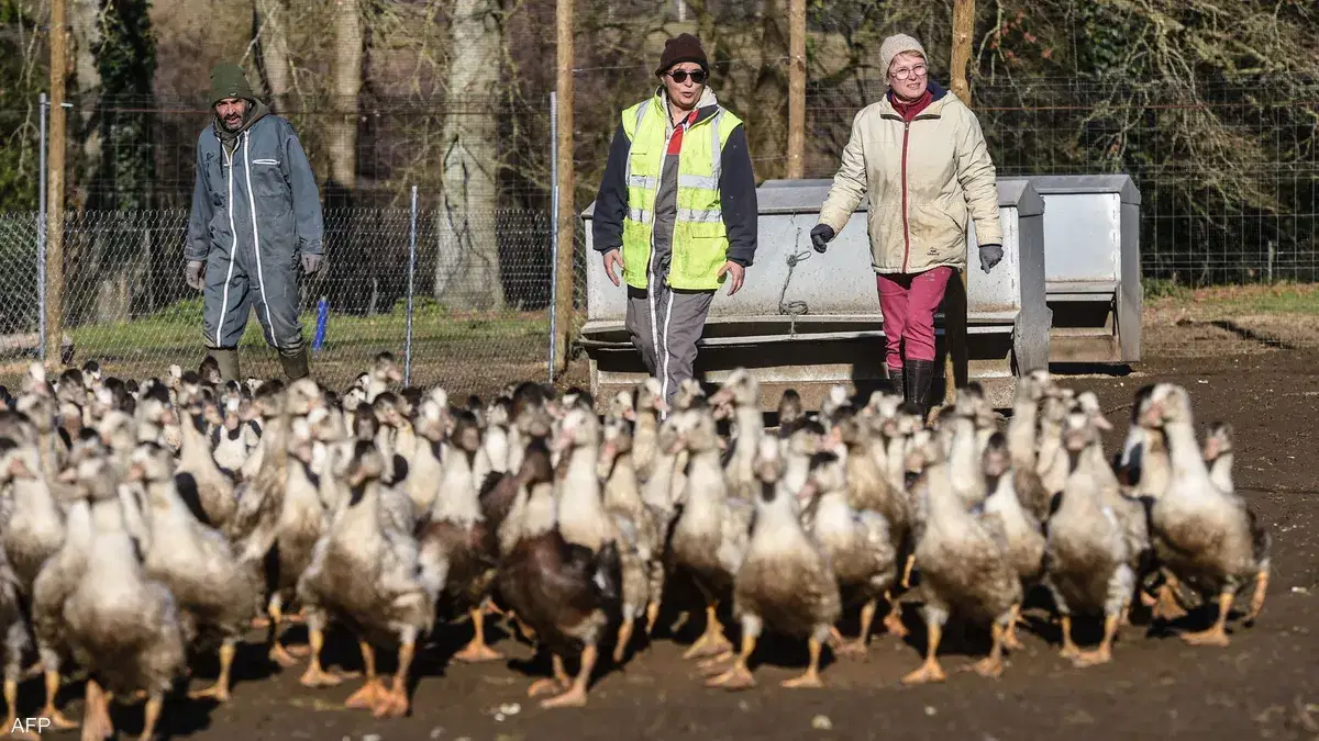 الصورة الرئيسية للمقال