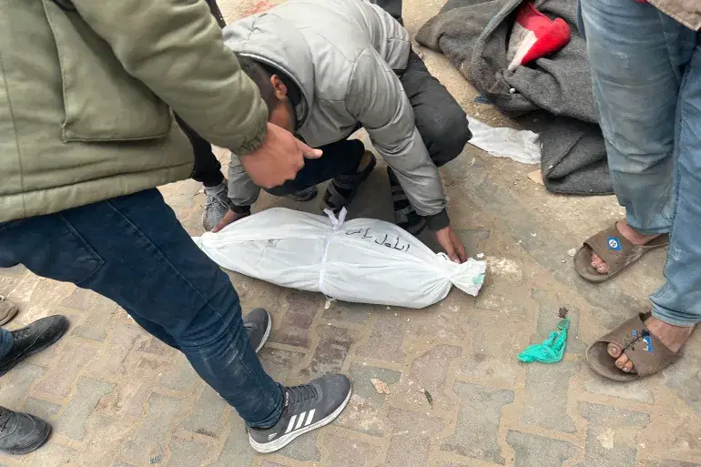 الصورة الرئيسية للمقال