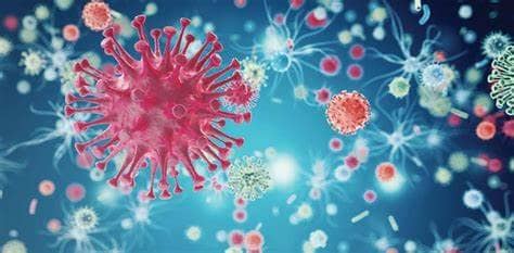 الصورة الرئيسية للمقال