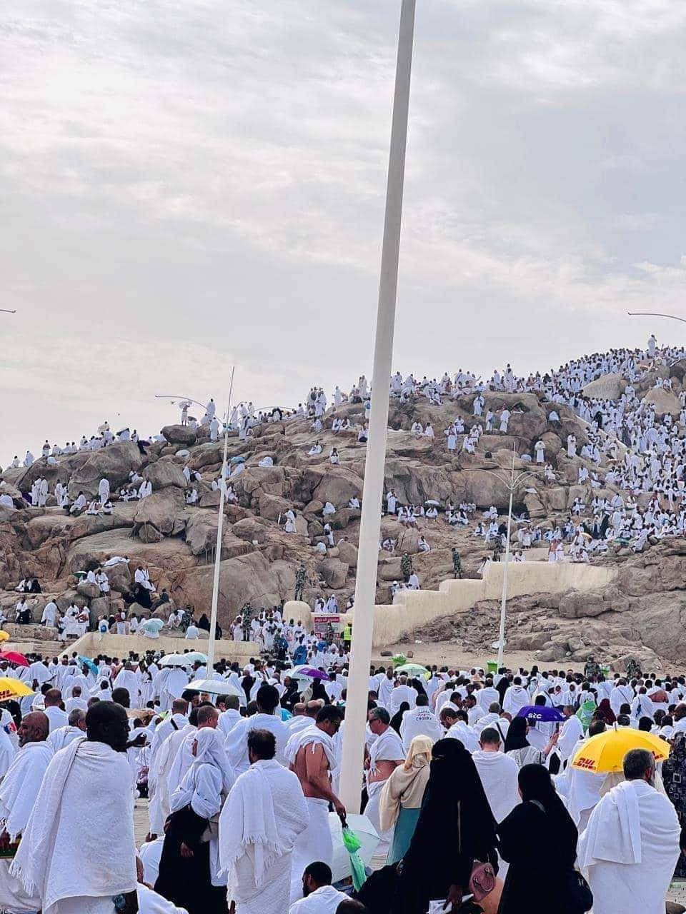 الصورة الرئيسية للمقال