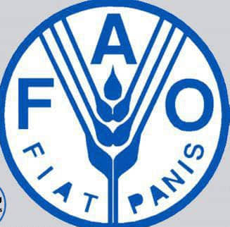 الصورة الرئيسية للمقال