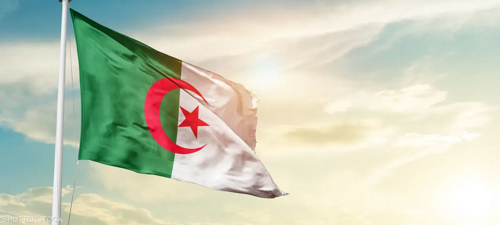 الصورة الرئيسية للمقال