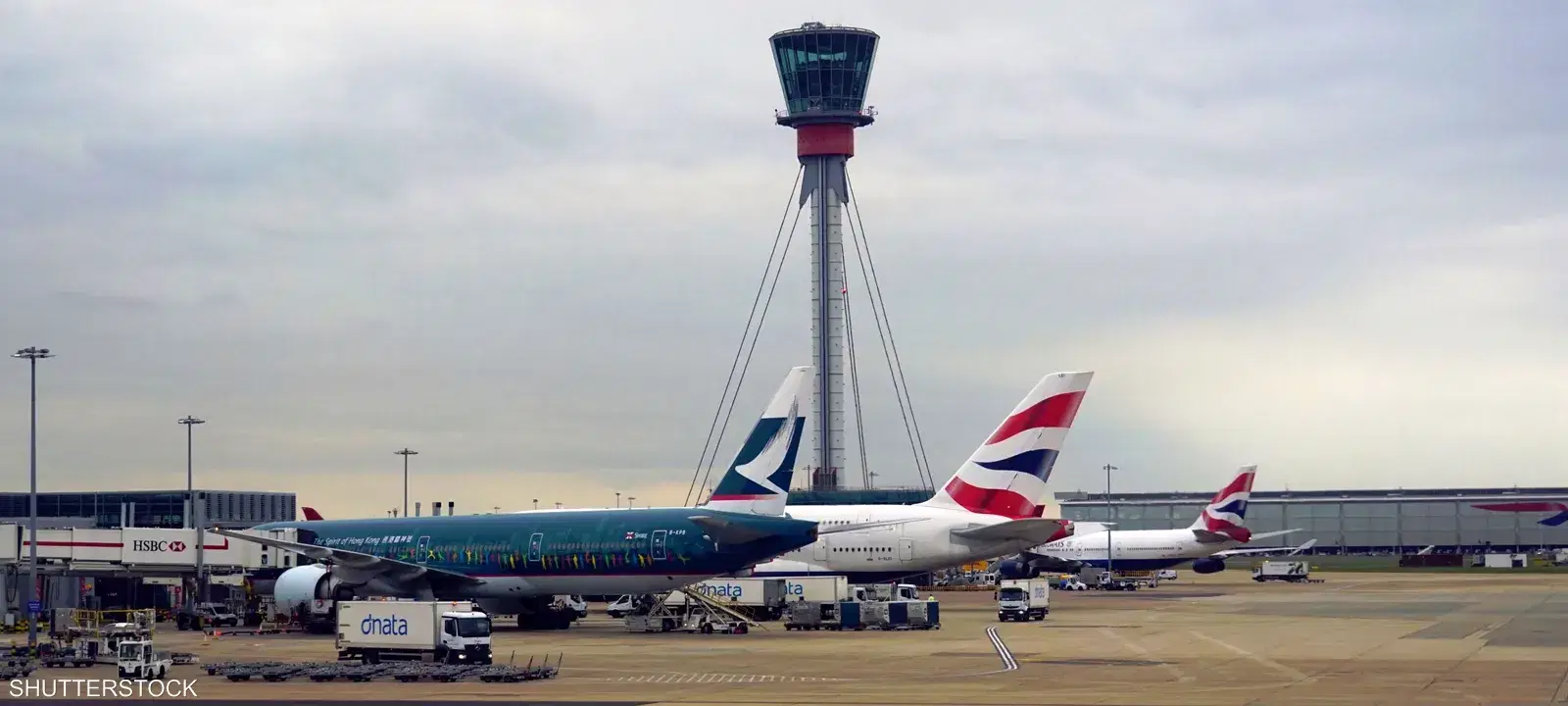 الصورة الرئيسية للمقال