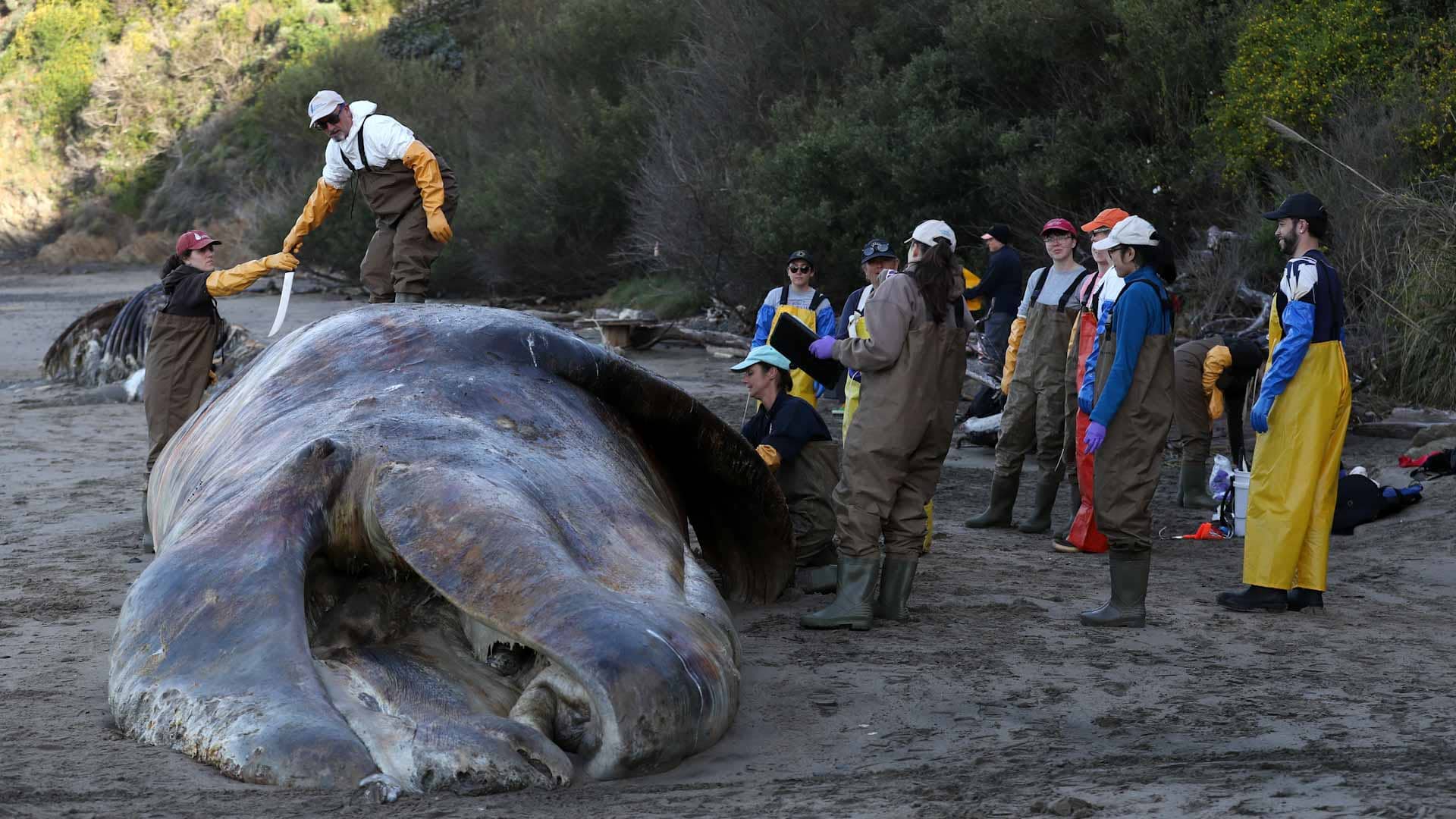 الصورة الرئيسية للمقال