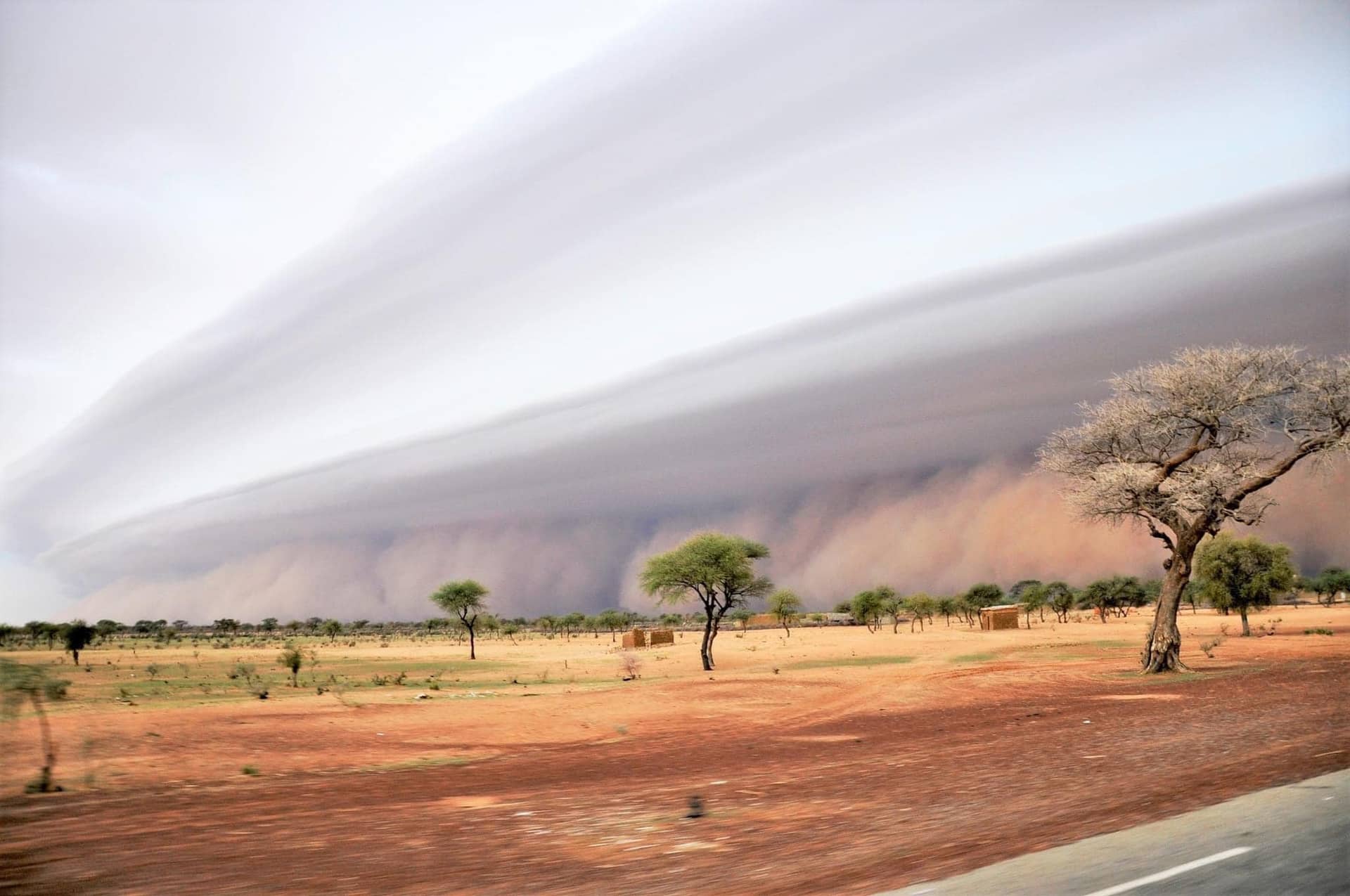 الصورة الرئيسية للمقال