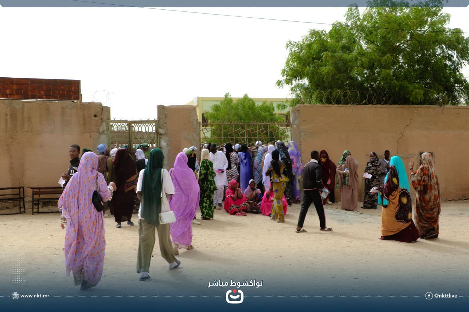 الصورة الرئيسية للمقال