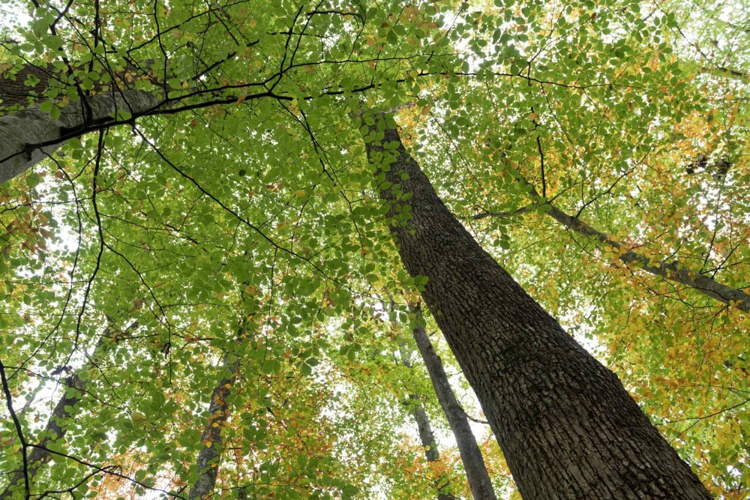 الصورة الرئيسية للمقال