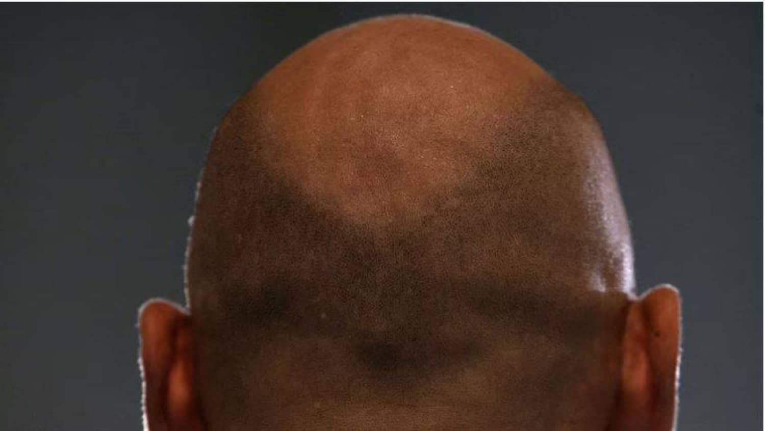 الصورة الرئيسية للمقال