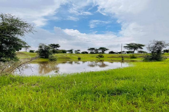 الصورة الرئيسية للمقال