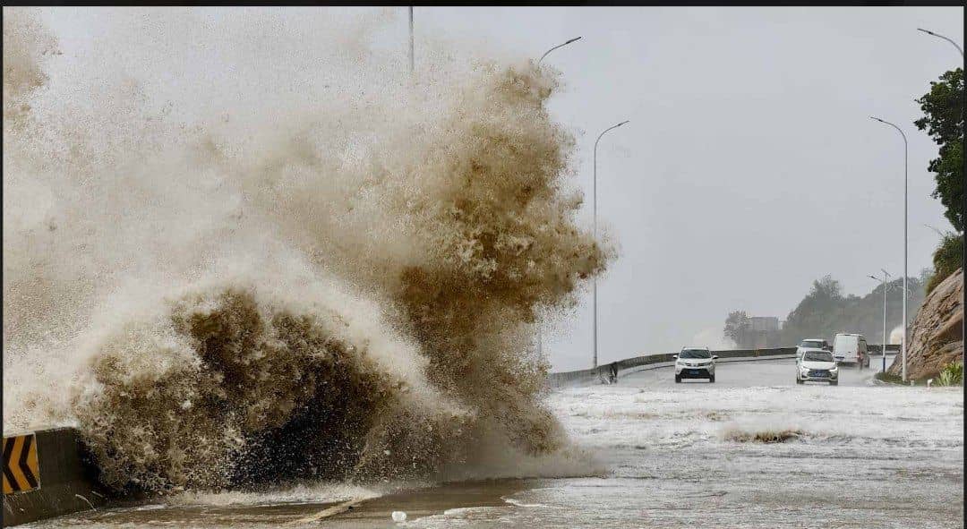 الصورة الرئيسية للمقال