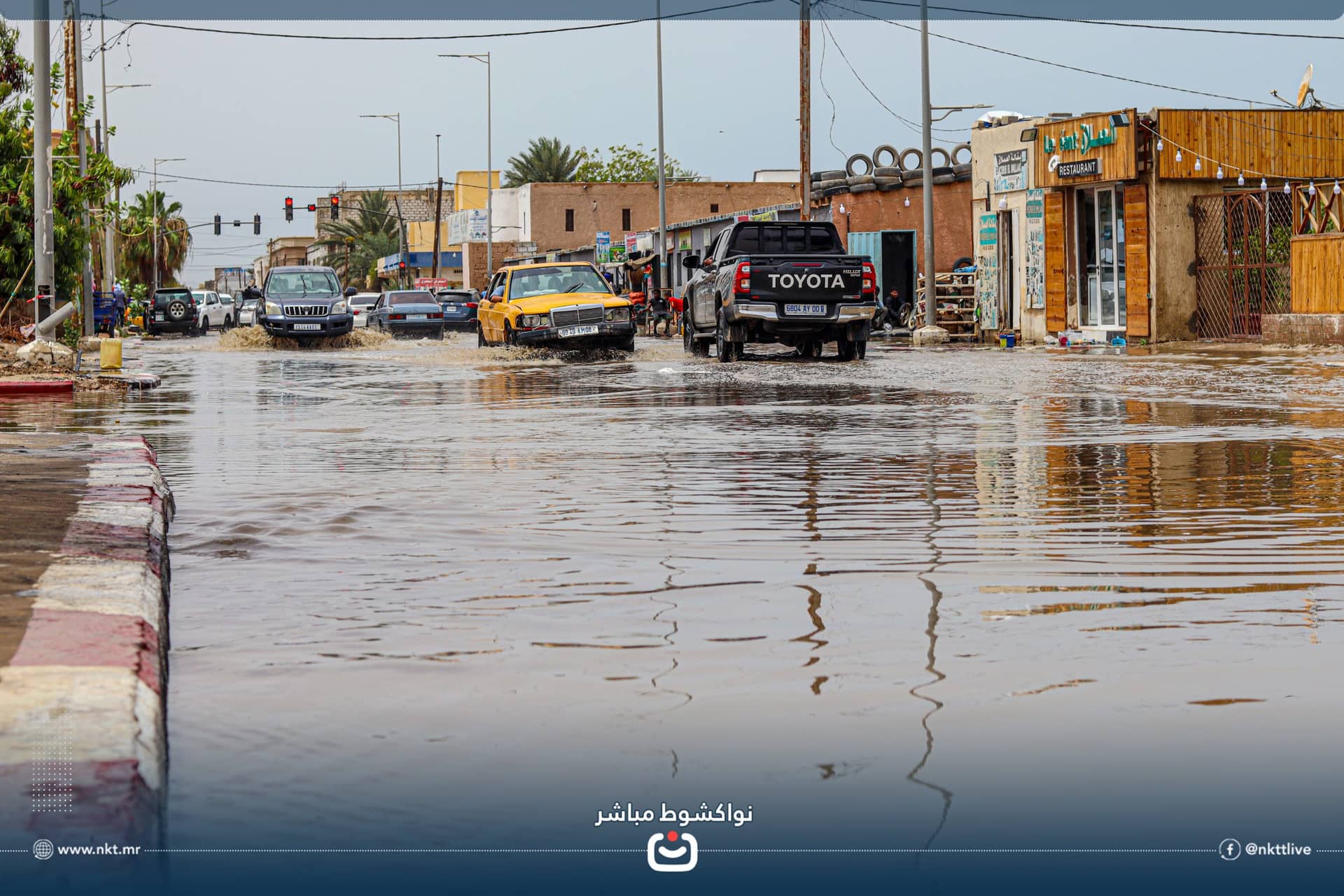 الصورة الرئيسية للمقال