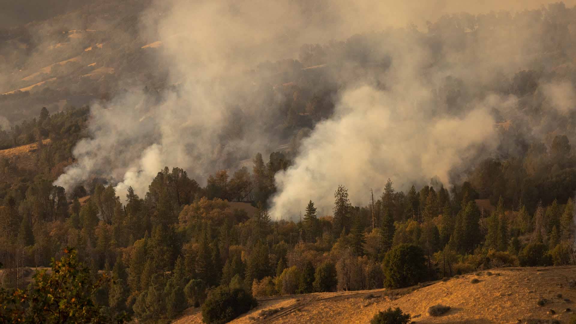 الصورة الرئيسية للمقال