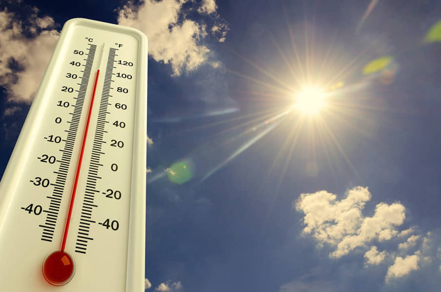 الصورة الرئيسية للمقال