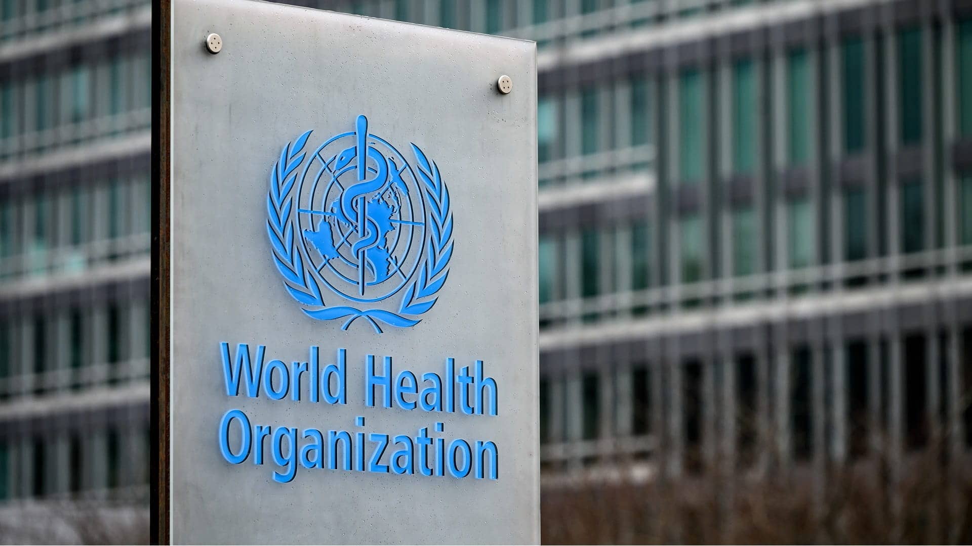 الصورة الرئيسية للمقال